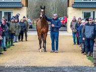 BP240223-71 - Unit Sixtyfour with Ben Pauling and his owners